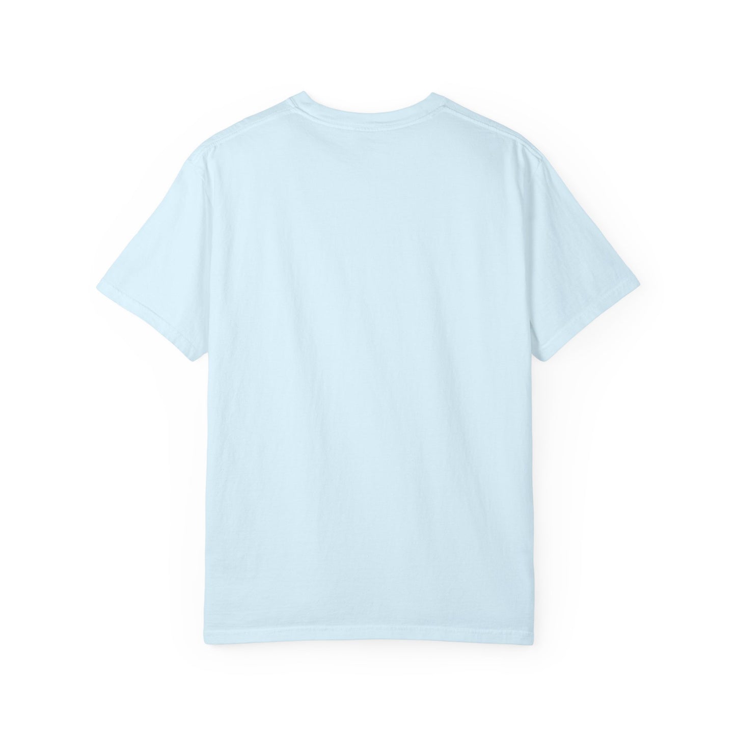 Saltwater Soul T-shirt Beach Vibes Tee Ocean Graphic Shirt Ocean Lover Gift Summer Tee