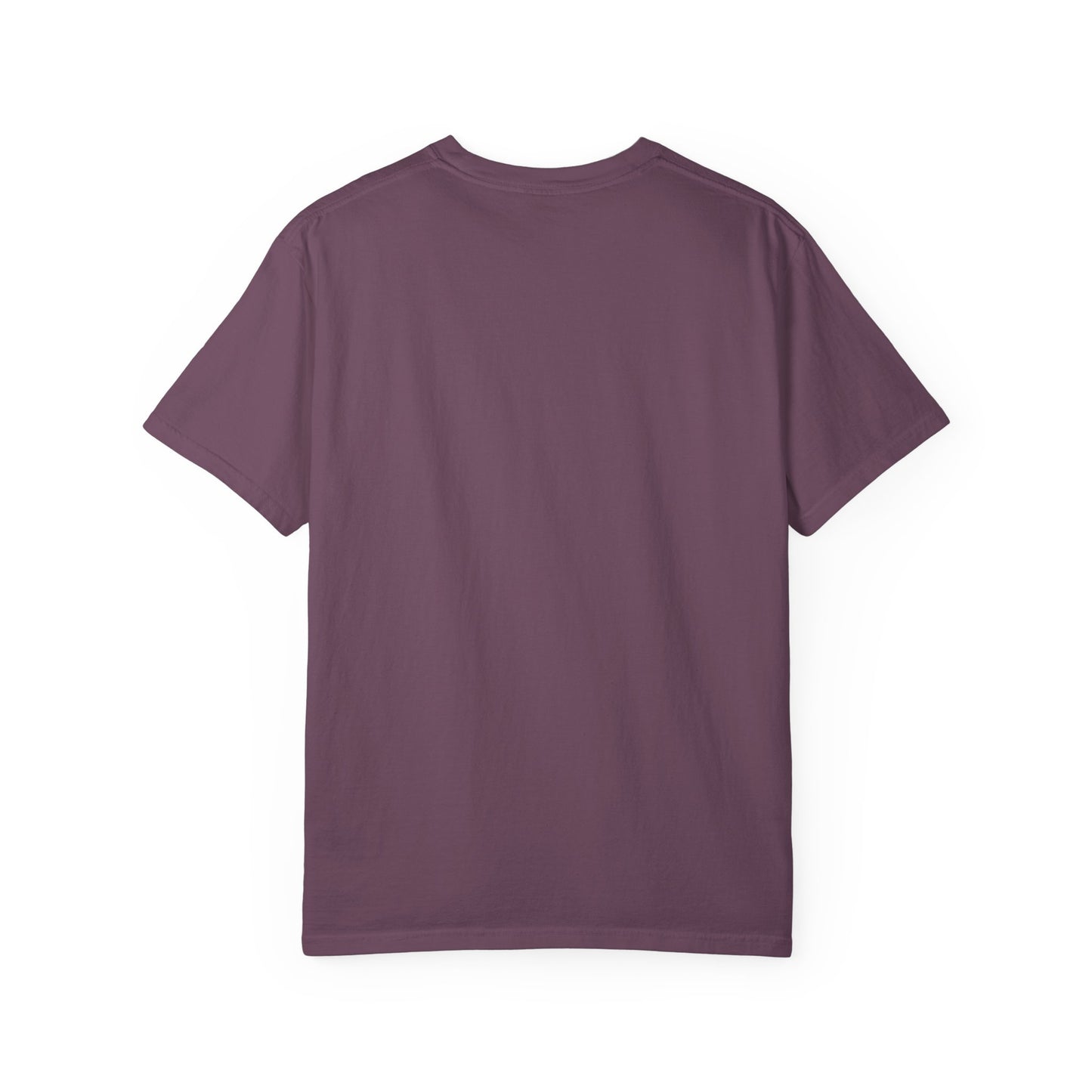 Port Aransas Texas T-Shirt – Coastal Pelican Pier Graphic Tee, Beach Town Souvenir Shirt