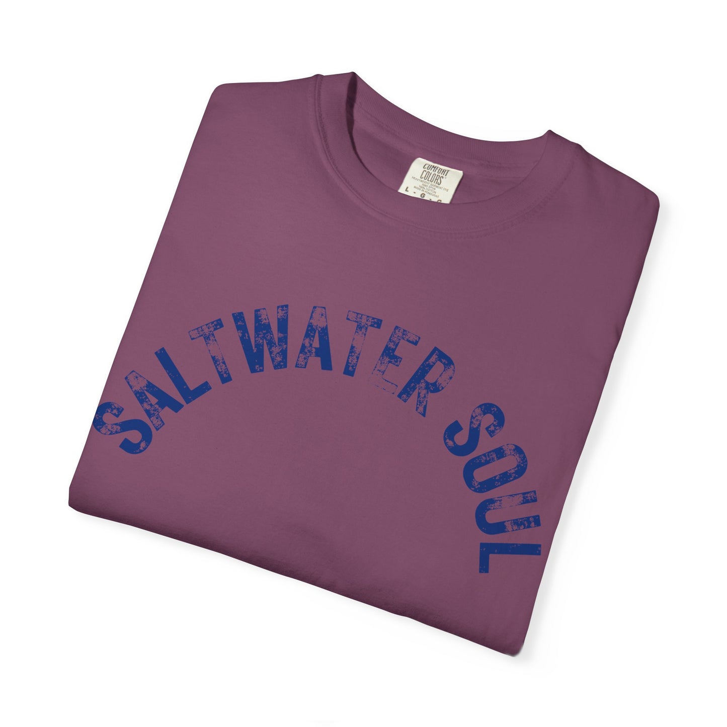 Saltwater Soul T-shirt Beach Vibes Tee Ocean Graphic Shirt Ocean Lover Gift Summer Tee
